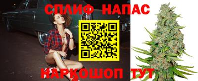 круглые Вязьма