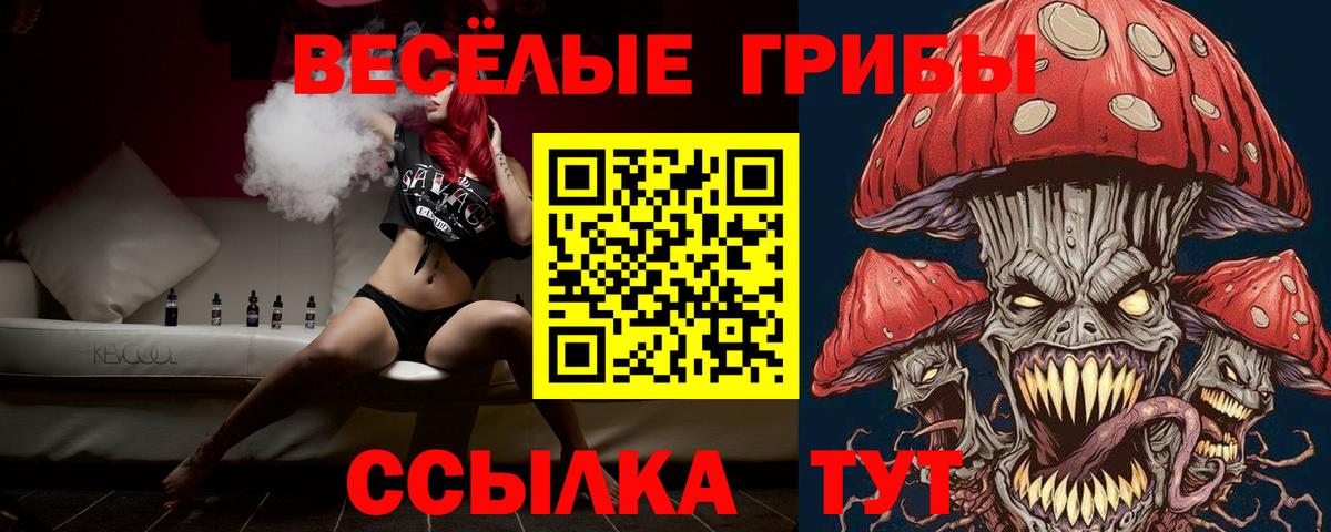 как найти наркотики  Псилоцибиновые грибы ЛСД  Вход с VPN  Ачхой-Мартан 
