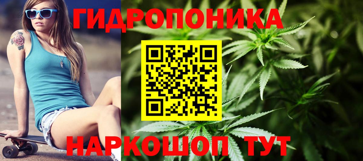 Бошки Шишки THC 21%  Вход с VPN  Марихуана марихуана  Канабис ГИДРОПОН  Ачхой-Мартан 